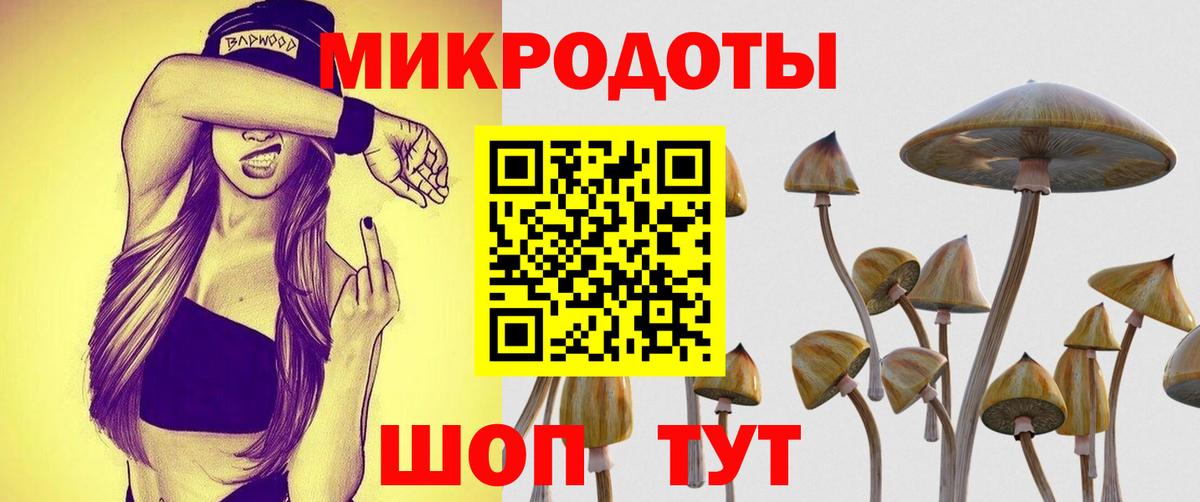 Псилоцибиновые грибы MAGIC MUSHROOMS Ртищево