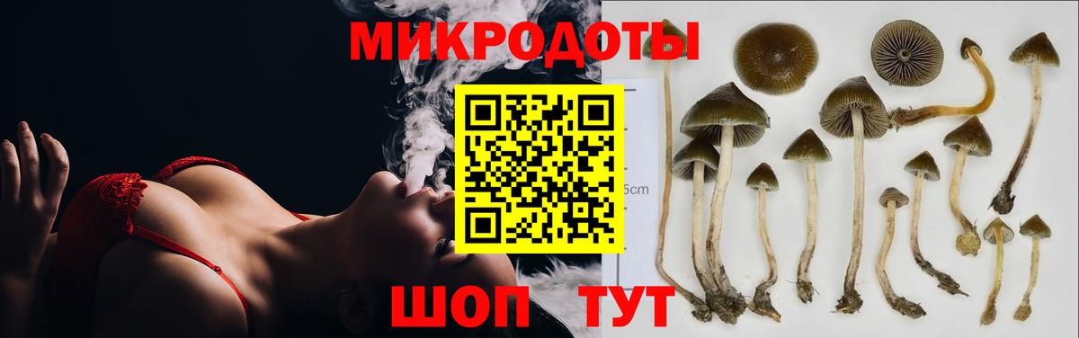 Псилоцибиновые грибы MAGIC MUSHROOMS  где можно купить наркотик  Галлюциногенные грибы GOLDEN TEACHER  Ртищево  Вход с VPN 